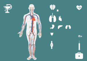 is keto diet bad for kidneys