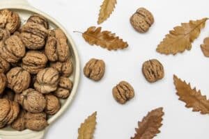 dash diet for beginners - proteins