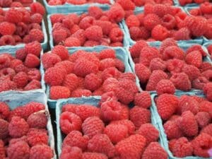 paleo diet food list - rasberries