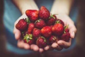 paleo diet food list - strawberries