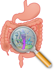 Brazilian Seed Side Effects - digestive issues
