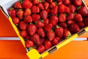 One meal a day weight loss