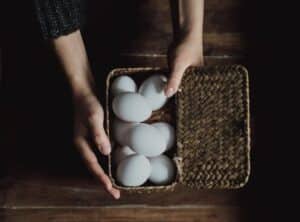 High protein diet for women